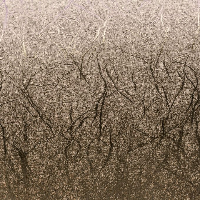 Premium Vinyl™ Textured Metallic Sampler, Precious Metals - Permanent
